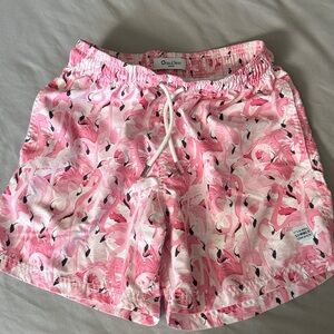 Flamingo Print Swim Shorts